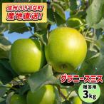 りんご 秋映 10月中旬から 3kg