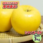 りんご シナノゴールド 3kg