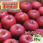ふるさと納税 飯綱町 【訳あり】 りんご シナノスイート 10月下旬〜11月下旬 10kg
