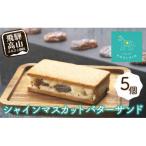 ショッピングふるさと納税 シャインマスカット ふるさと納税 高山市 シャインマスカットレーズンバターサンド　5個　TR4295