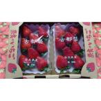 乾農園の古都華デラックス2パックセット 250g×2
