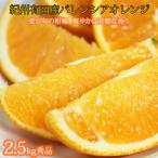 秀品 希少な バレンシアオレンジ 2.5kg