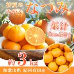 初夏のみかん なつみ3kg