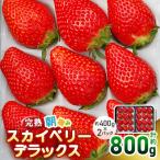 貴重な 完熟朝摘みスカイベリー デラックス 800g