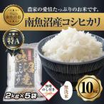 無洗米 南魚沼産 コシヒカリ 2kg×5袋