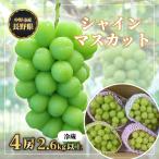 冬でも食べれる シャインマスカット4房 2.6kg以上