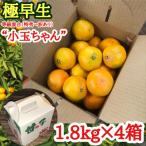 極早生 有田 みかん 小玉ちゃん 等級 混合 1.8kg