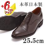 牛革内羽根ストレートチップ 6cmアップシークレットシューズ