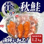ふるさと納税 斜里町 知床斜里産 船上活〆【骨とり】秋鮭 1.2kg(真空パック)