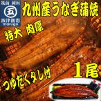 肉厚九州産うなぎ蒲焼1尾つゆだくタレ付