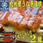 九州産うなぎ蒲焼2尾 秘伝つゆだくタレ付