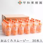 ふるさと納税 有田市 【早和果樹園】おふくろスムージー有田みかん30本入|飲むみかんゼリー(パウチタイプのジュレ)