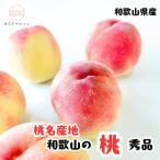 フルーツ王国 和歌山の桃 約4kg