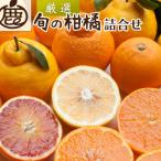 厳選 柑橘詰合せ5kg+250g 傷み補償分