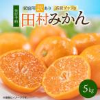 ふるさと納税 湯浅町 【2026年11月末頃より発送】【ご家庭用訳あり】田村みかん　5kg