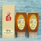 はちみつ 蜂蜜 500g×2本