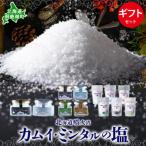 噴火湾 カムイ ミンタルの塩6種 大瓶 小瓶&スタンド袋 セット