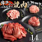 ふるさと納税 宮崎市 宮崎県産牛豚鶏&牛タンスライス焼肉セット