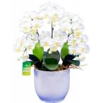 ArtificialFlower NAGOMI