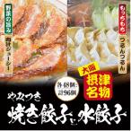 ふるさと納税 摂津市 【96個入】やみつき焼き餃子と水餃子セット 日々のおかず、餃子パーティーギフトにおすすめ