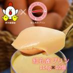 紅孔雀プリン10個セット