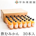 ふるさと納税 有田市 【早和果樹園】飲むみかん30本入|有田みかん100%ストレートジュース