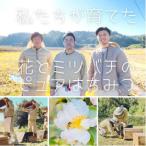 水の郷の花々から採ったそのまま 生はちみつ