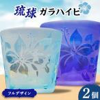 琉球ガラハイビフルデザイン2P