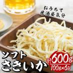 ソフトさきいか 100g×6パック