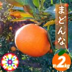 愛咲果樹園 まどんな 約2kg