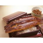 ふるさと納税 有田市 大きいサイズの国産うなぎ蒲焼き2本(計460g)