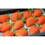 ふるさと納税 朝来市 大粒で甘い!坪井農園のこだわりいちご(かおり野)1箱