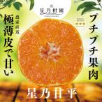 ふるさと納税 八幡浜市 星乃みかん園の星乃甘平(3.5kg)【D45-46】