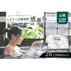 ふるさと応援寄附感謝券 商品券 2枚