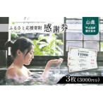 ふるさと応援寄附感謝券 商品券 3枚