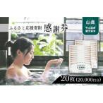ふるさと応援寄附感謝券 商品券 20枚