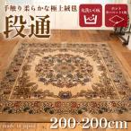 絨毯 2畳用正方形200×200 キャニオン