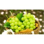 ショッピングふるさと納税 シャインマスカット ふるさと納税 山梨市 【2026年先行受付】農家直送のシャインマスカット2kg