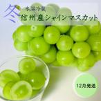 ふるさと納税 長野市 2025年12月中旬より順次発送 信州産冷蔵シャインマスカット 1房(600g以上)大粒&大房