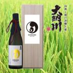 横手の地酒 大納川 純米大吟醸原酒 720ml