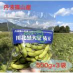 川北黒大豆 枝豆 さや豆500g入×3袋