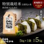令和8年産 農家直送 魚沼産こしひかり 特別栽培米