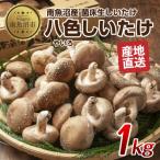 fu.... налог юг рыба болото город . цвет ....1kg Niigata префектура юг рыба болото город 