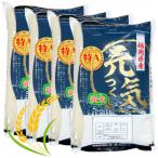 元気つくし無洗米20kg 5kg×4袋