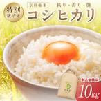 京丹後米 特別栽培米コシヒカリ 10kg