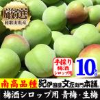 厳選南高梅 フレッシュ青梅 生梅 10kg