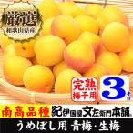厳選南高梅 フレッシュ青梅 生梅 3kg