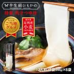 ひもかわ うどん こだわり特製肉汁つゆ付 200g×6袋