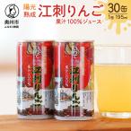 江刺りんごジュース 藤原缶 195ml×30缶