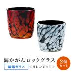 渋カッコイイ 海かがんロックグラス2個セット